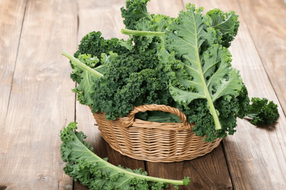 The 10 Best Foods For Eye Health Kale